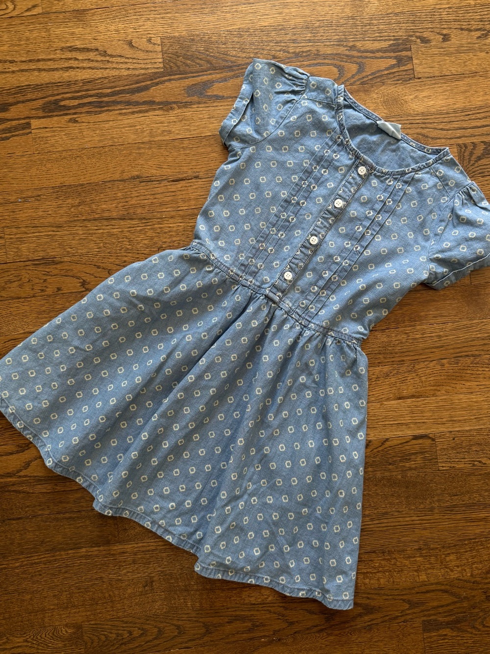 Crazy 8 Light Blue Chambray Floral Button-Front Dress